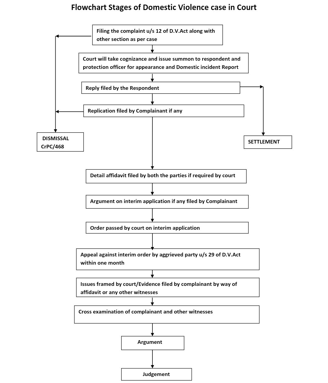 DV Case Flowchart