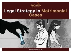 Legal Strategy In Matrimonial Cases