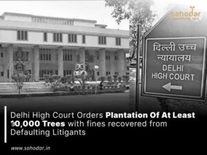 Delhi High Court orders plantation of at least 10,000 trees with fines recovered from Defaulting Litigants