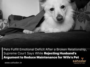 Pets fulfill emotional deficit after a broken relationship, Supreme Court says while rejecting husband's argument to reduce maintenance for wife's pet