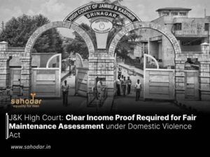 Clear Income Proof Required for Fair Maintenance Assessment under Domestic Violence Act