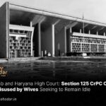 Section 125 CrPC Cannot Be Misused by Wives Seeking to Remain Idle